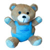 Teddybeer met overall